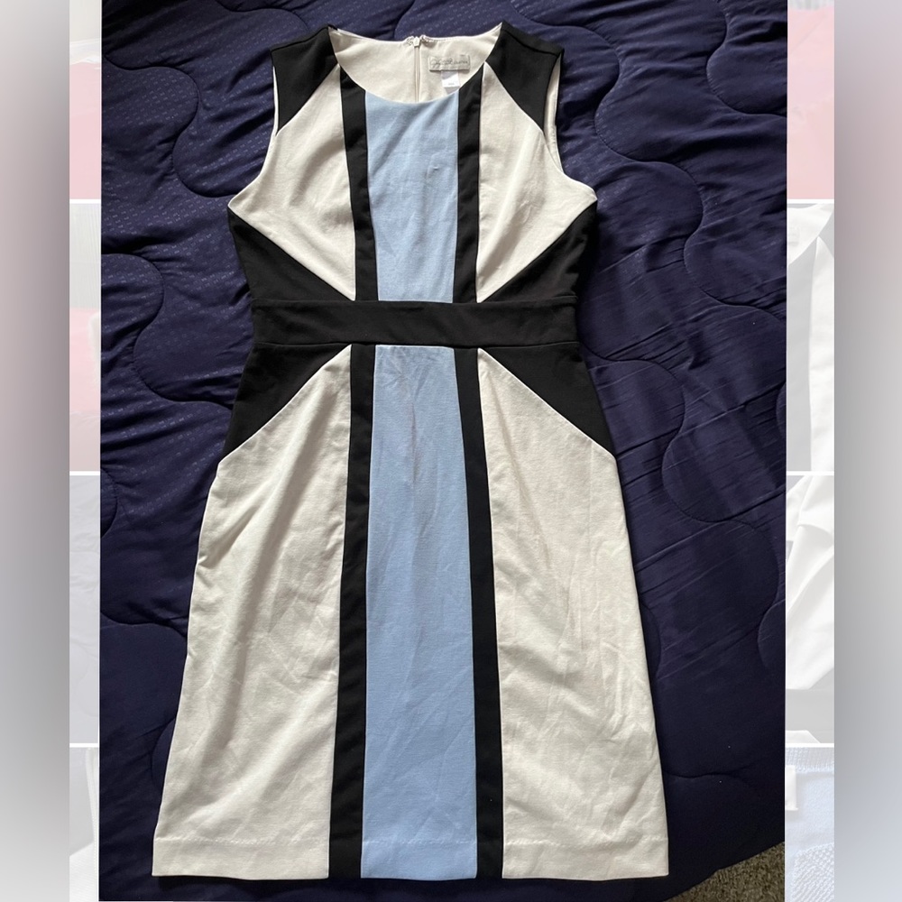 Gently Worn Jaclyn Smith Knee Length Dress Size Small